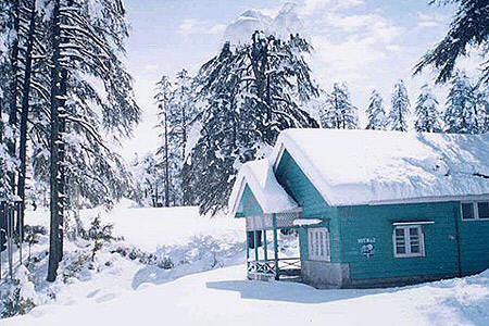 Winter View Patnitop