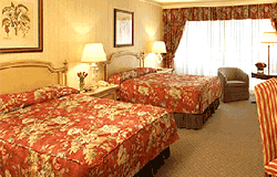 Hotel in Srinagar,Hotels of Srinagar,Srinagar Hotels