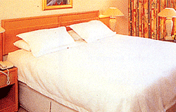Hotel in Srinagar,Hotels of Srinagar,Srinagar Hotels